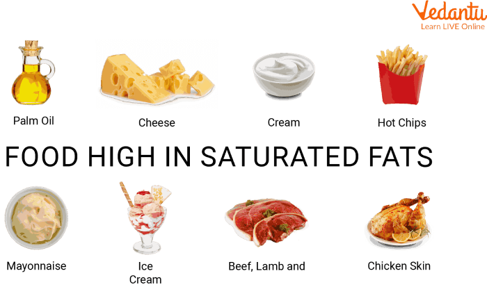 일반 독자을 위한 Junk food Junk food 정보 이미지
