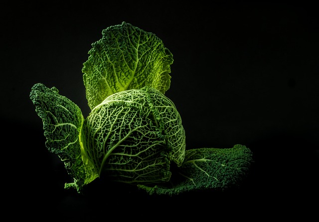 Vegetarian