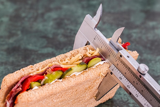 일반 독자을 위한 Junk food Junk food 정보 이미지