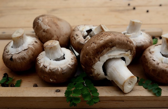 일반 독자을 위한 Vegetarian Vegetable 정보 이미지